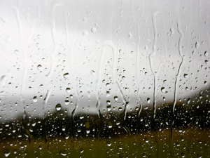 Rainy winter in Surrey